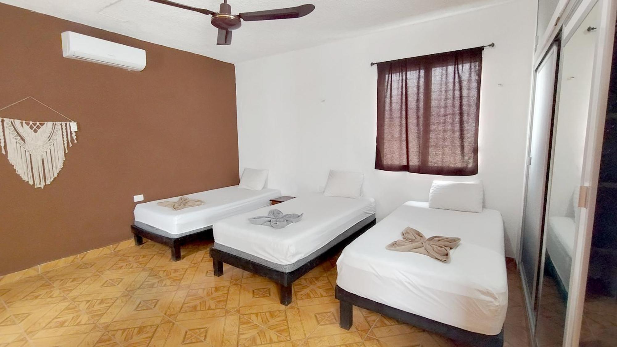 Spanglish Hostel 巴利亚多利德 外观 照片